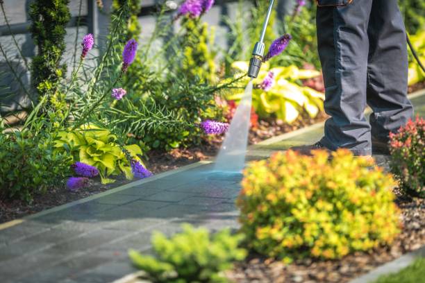 Best Concrete Surface Cleaning in Quail Creek, TX