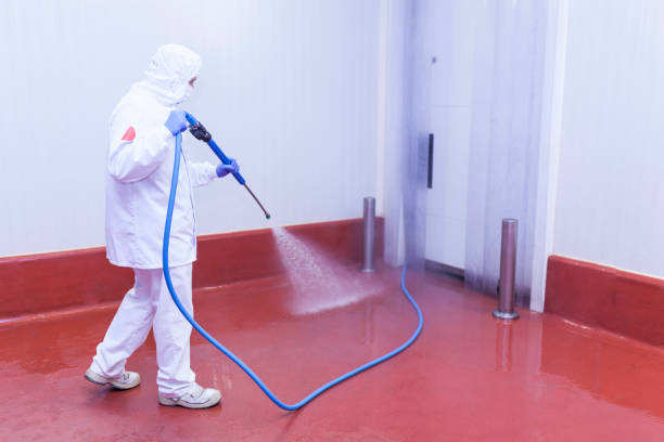 Best Deck and Patio Pressure Washing in Quail Creek, TX